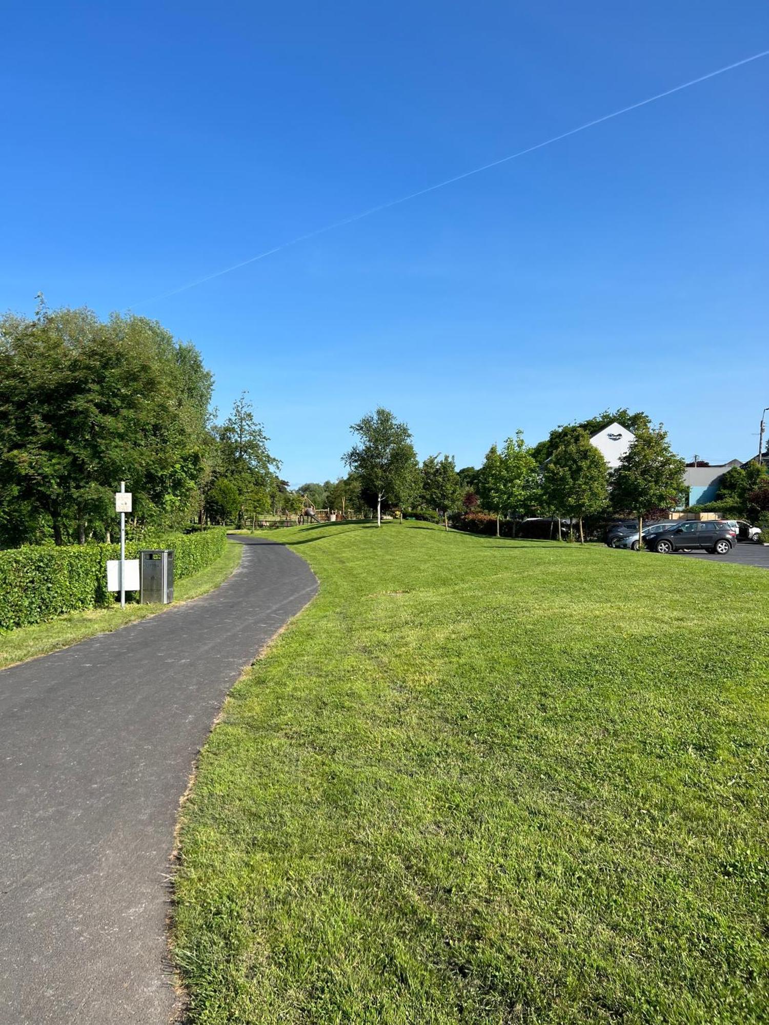 'Maigue View' By The River Croom Exterior photo