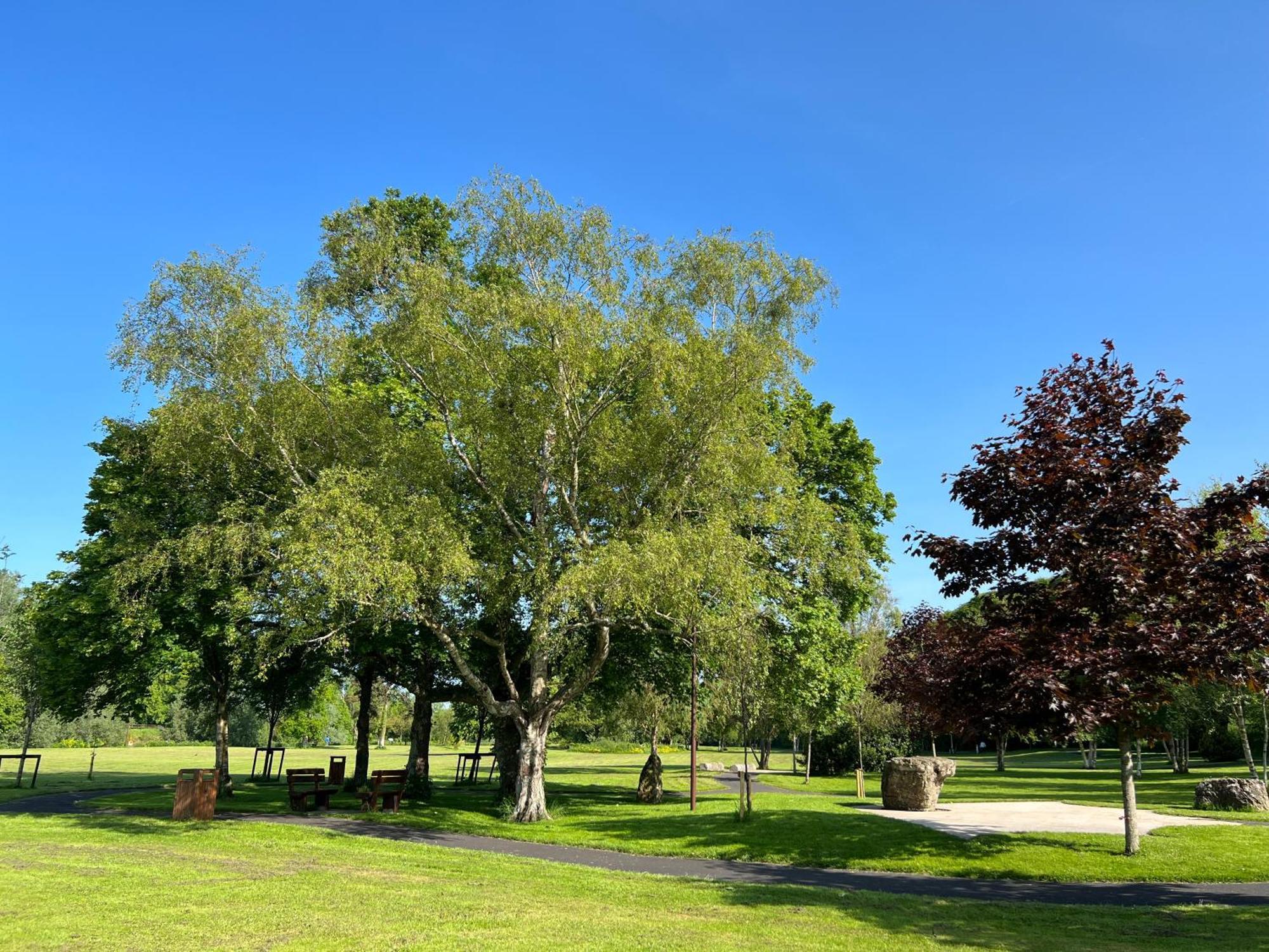 'Maigue View' By The River Croom Exterior photo